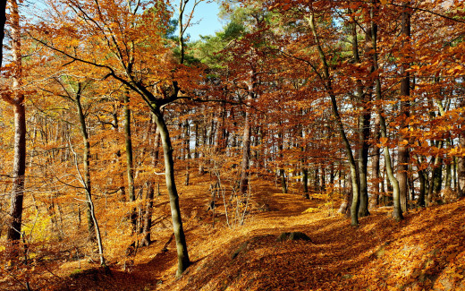 447740 (a): :2560x1600